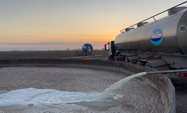 Tiran más de 100 mil litros de leche por el bloqueo de un gremio a una importante industria láctea