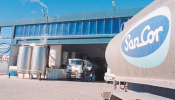 Aseguran que no transfirieron fondos prometidos para SanCor