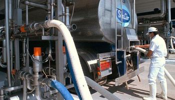 SanCor tomó la decisión de vender la empresa