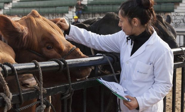 Vence el plazo para reacreditarse en programas de sanidad animal