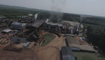 Santa Helena recebe R$ 62 milhões do BNDES para ampliar produção em MS