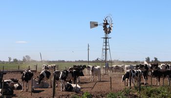 Santa Fe llevó su modelo lechero al mundo: "Una lechería con historia, presente y futuro"