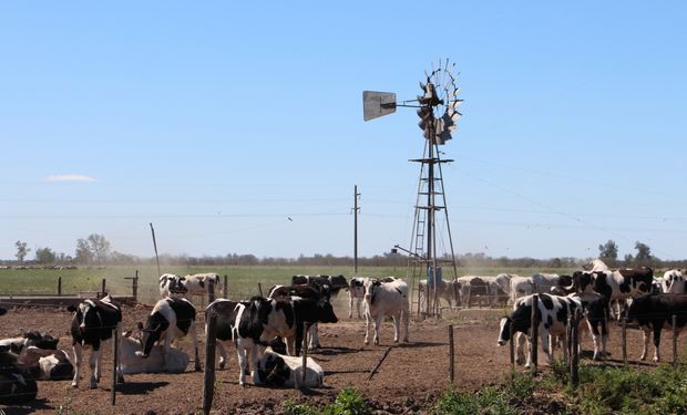 Santa Fe llevó su modelo lechero al mundo: "Una lechería con historia, presente y futuro"