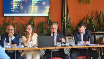 ABPA já projeta recordes para aves e suínos em 2024
