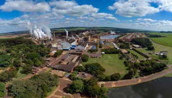 São Martinho tem resultado açucarado no primeiro trimestre da safra 24/25
