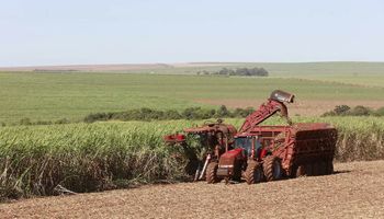São Martinho encerra safra com 21,67 milhões de toneladas de cana processadas