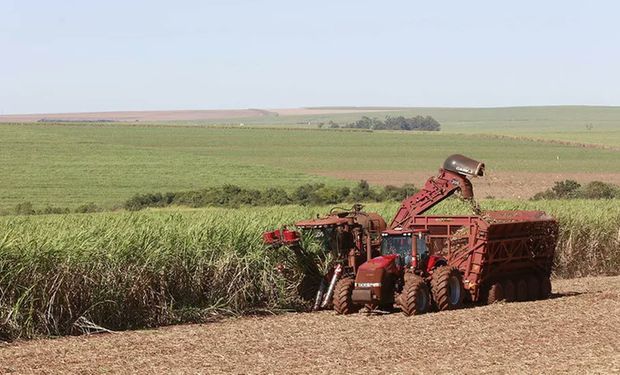 São Martinho encerra safra com 21,67 milhões de toneladas de cana processadas
