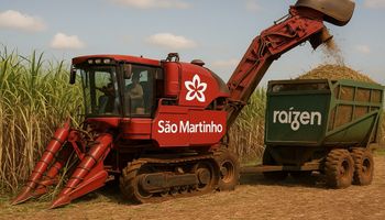 São Martinho avança sobre áreas da Raízen com investimento de até R$ 242 milhões