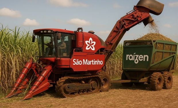 São Martinho avança sobre áreas da Raízen com investimento de até R$ 242 milhões
