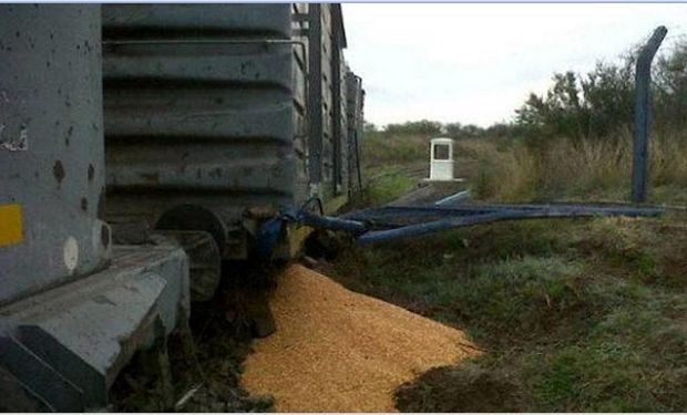 El tren estaba parado por desperfectos mecánicos. Foto: DIARIOPANORAMA.COM