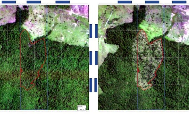 Com imagens de satélite, BNDES barra crédito de 3,5 mil produtores por desmatamento