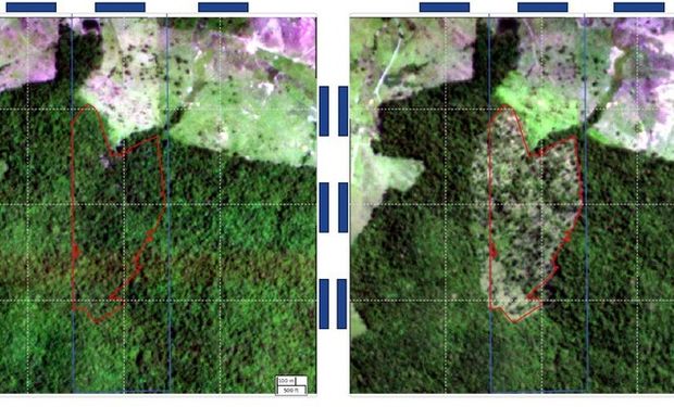 A plataforma MapBiomas valida alertas de desmatamento a partir de imagens de alta resolução