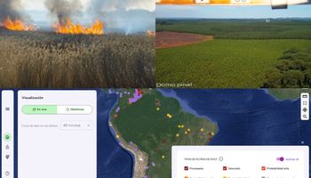 Made in Argentina, con más de 20.000 validaciones en campo: el sistema que detecta incendios más rápido que la NASA