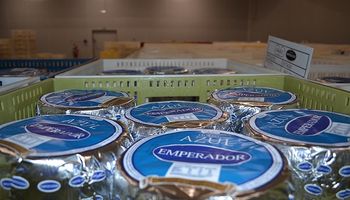 Quedó habilitada la planta de queso azul más grande de la Argentina