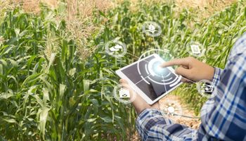 La inteligencia artificial como una transformación de la nutrición de los cultivos
