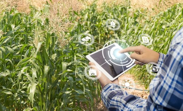 La inteligencia artificial como una transformación de la nutrición de los cultivos