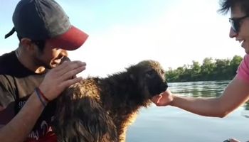 Héroes en lancha: la historia de cuatro jóvenes que salvaron a un perro de morir ahogado