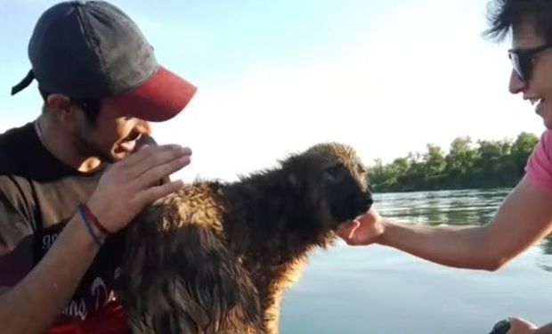 Héroes en lancha: la historia de cuatro jóvenes que salvaron a un perro de morir ahogado