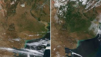 La comparación viral que muestra el poder de la lluvia: 30 días de diferencia y 100 milímetros en el medio