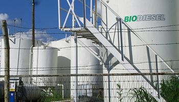 Las empresas que producen biocombustibles para el mercado interno cuestionaron el proyecto de Milei
