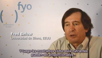 Mosaic y los cambios en la fertilización