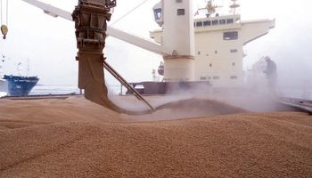 La revancha del trigo: récord histórico de compras de exportadores