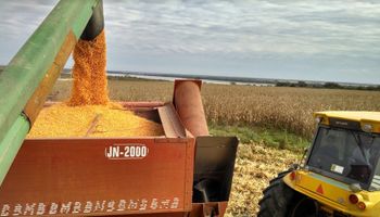 La economía argentina, a la espera de una gran cosecha