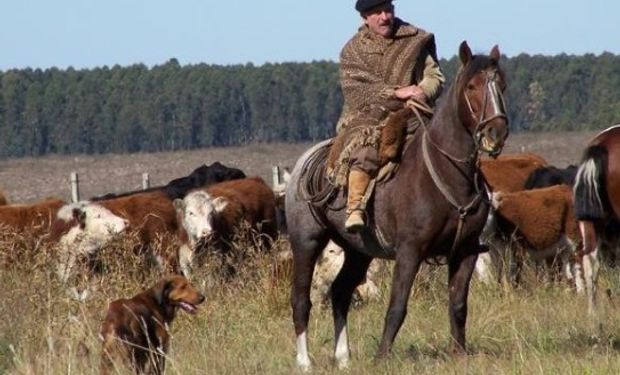 Un importante avance a favor del trabajador rural.