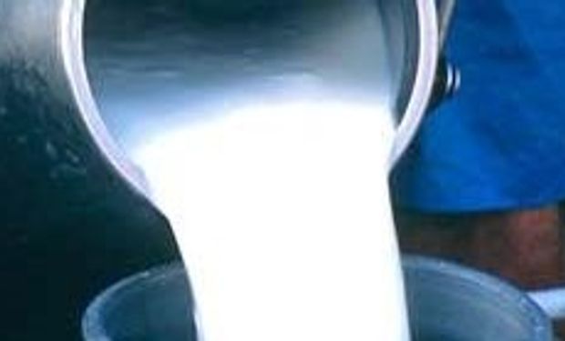 La producción láctea bajó 2,6% 