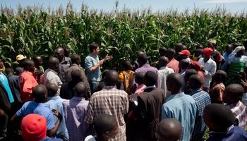 El aporte del conocimiento argentino para expandir la frontera agrícola en África