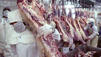 Exportaciones de carne: junio fue el mejor mes desde 2009