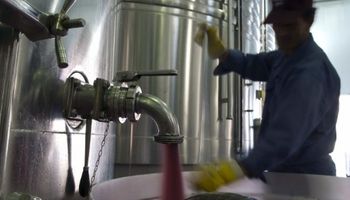 La pulseada entre la inflación y el dólar será clave para las economías regionales