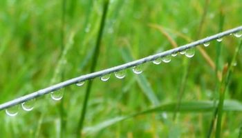 ¿Qué se espera en materia de lluvias para los próximos meses?