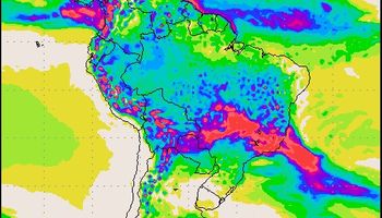 Contexto climático favorable