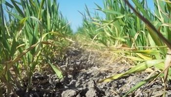 Persiste la falta de agua en Santa Fe