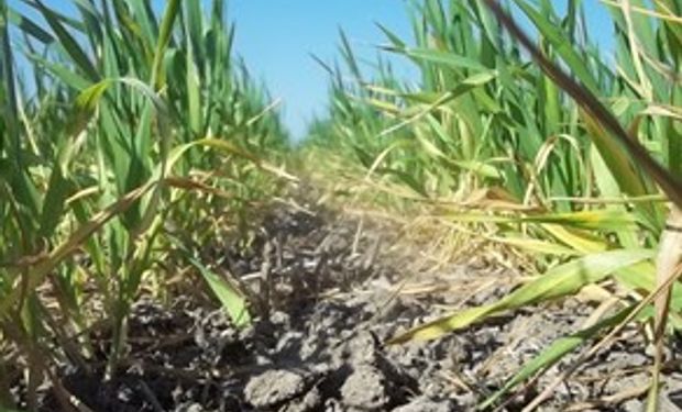 Persiste la falta de agua en Santa Fe