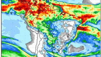 Las lluvias impactarían positivamente en los precios