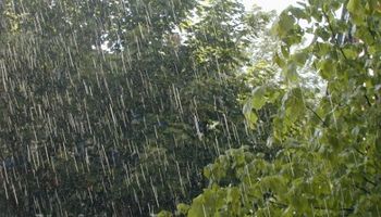El temporal en números: se superó hasta un 300% la media de precipitaciones