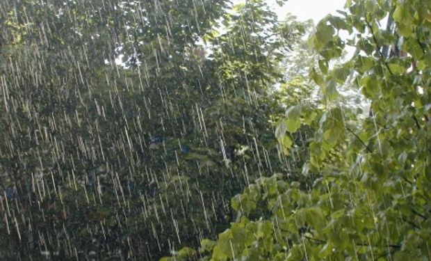 Las lluvias durante mayo dejaron valores notables.