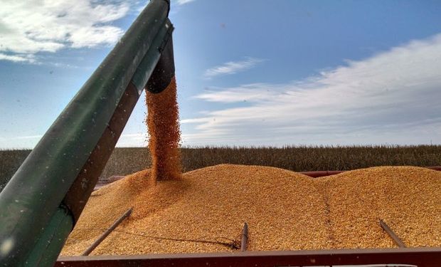 La importancia del canje agropecuario.