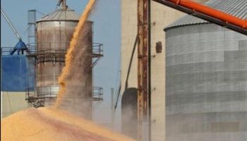 BCRA lanza bono atado al dólar para impulsar ventas de soja
