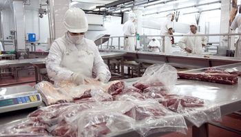 El Gobierno analizó el funcionamiento de la cadena de la carne y se anticipa a la etapa de mitigación 