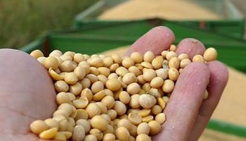 ¿Cómo impactan las medidas de Hacienda al productor?