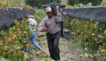 Régimen Agrario: todo sobre los obreros de viñas