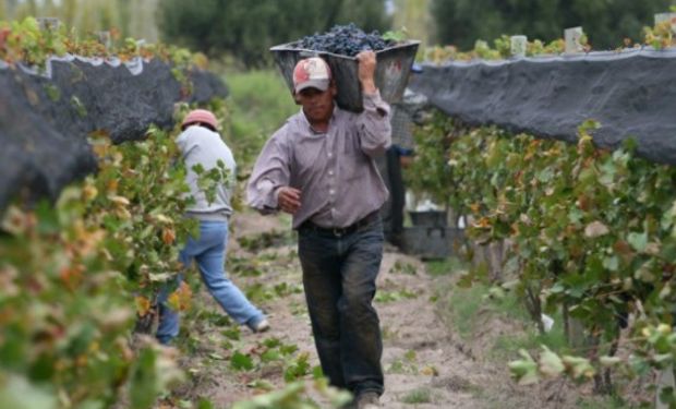 Régimen Agrario: Obreros de viñas.