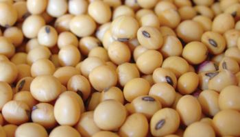Se completó el pago a productores de soja de las provincias del Plan Belgrano