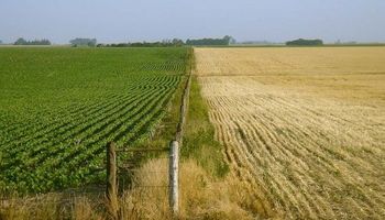 Constancia de alta de tierras rurales: un dato a tener en cuenta