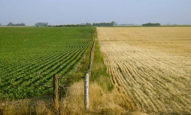 IVA. Un dato a tener en cuenta para productores agropecuarios que hubieran obtenido la "Constancia de alta de tierras rurales explotadas".