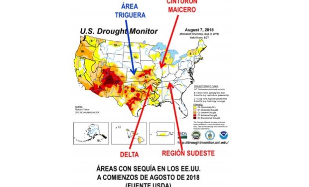 ¿Qué factores podrían afectar la evolución del clima?