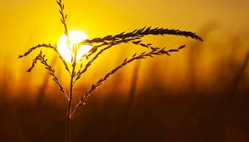 Destacan una "tendencia climática positiva"